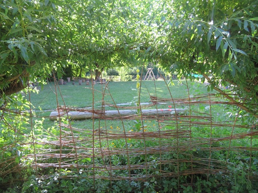 Das Gelände des Waldkindergartens.