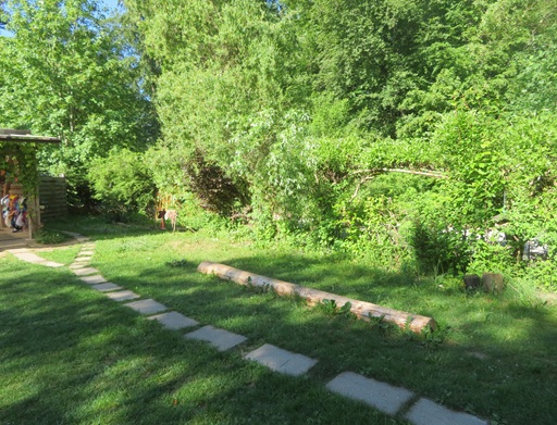 Das Gelände des Waldkindergartens.