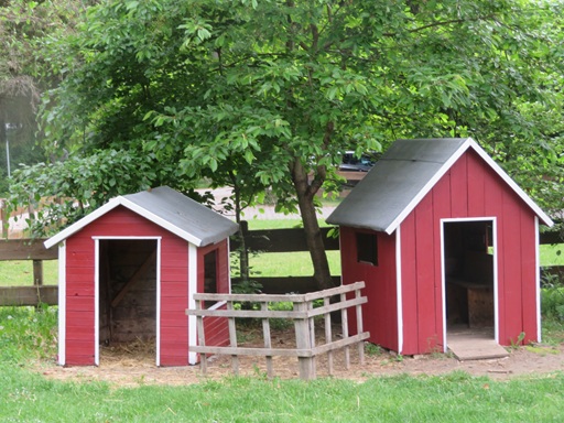 Das Gelände des Waldkindergartens.