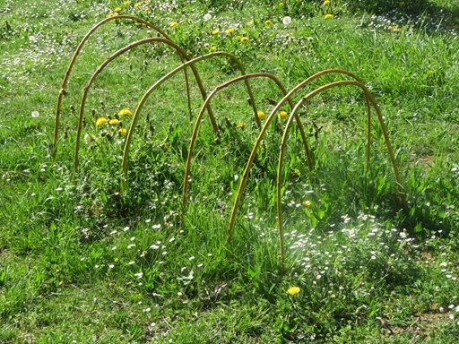 Das Gelände des Waldkindergartens.