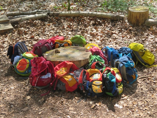 Das Gelände des Waldkindergartens.