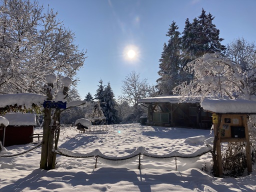 Das Gelände des Waldkindergartens.