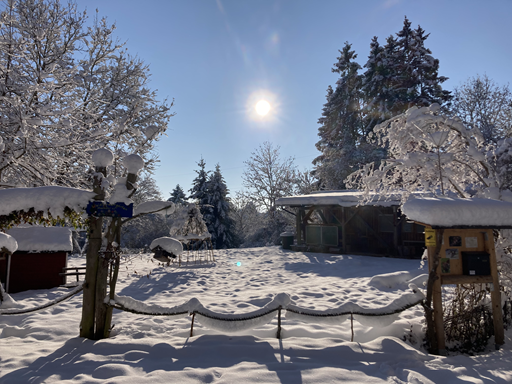 Die Schutzhütte des Waldkindergartens.